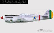 Asisbiz Curtiss P 40N Warhawk FAB 1.14GAV Nr3 4035 Porto Allegre 1950 0A