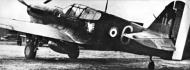 Asisbiz Curtiss P 40F Kittyhawk FAF GCII.5 White 6 Giscoln North Africa 1943 01