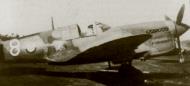 Asisbiz Curtiss P 40M Kittyhawk FAF GCII.5 White 8 Verrier Thelepte 1943 01