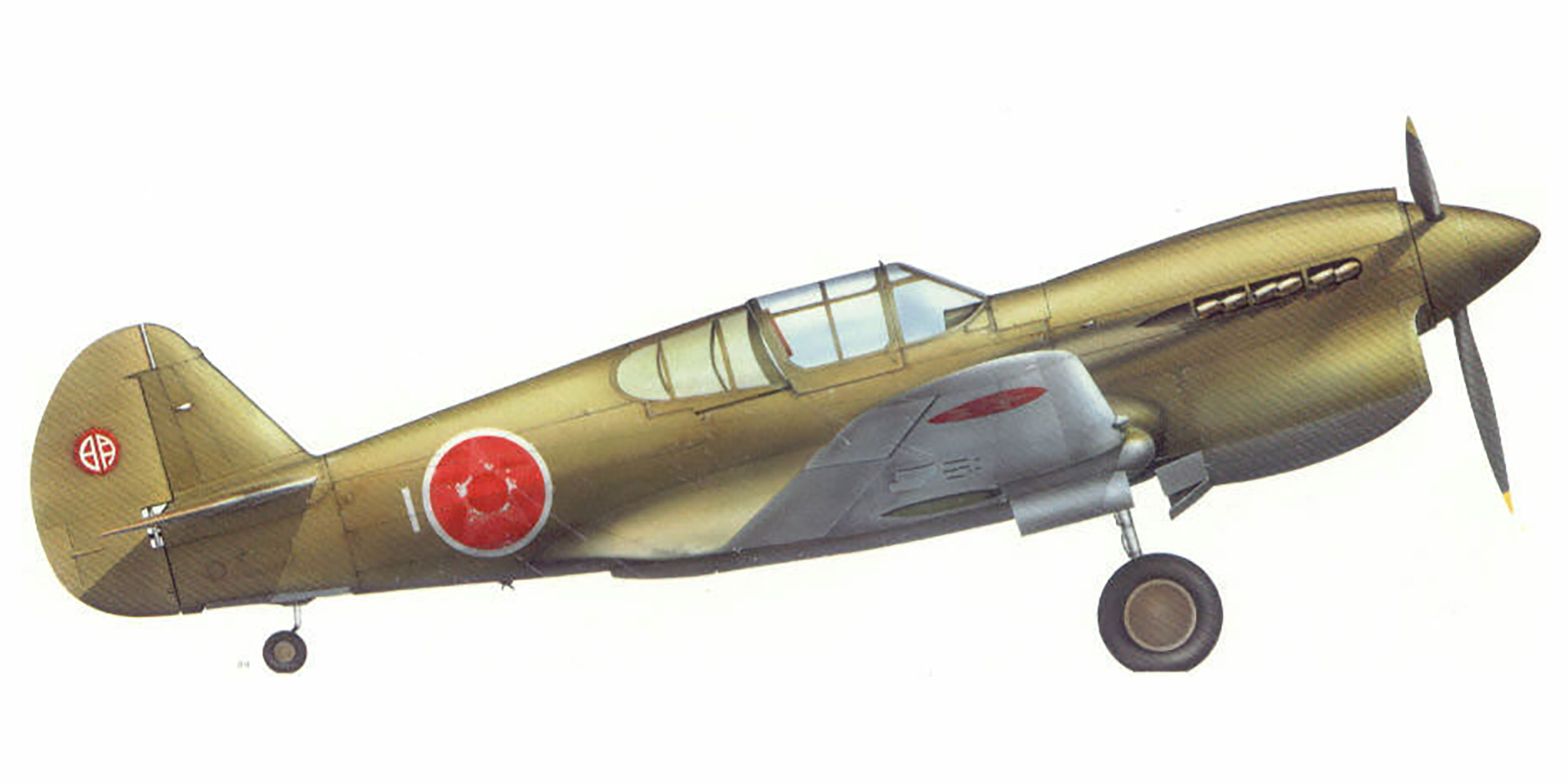 Curtiss P 40E Warhawk IJAAF Army Flying School Akeno Yokota Ab Japan 1945 0A