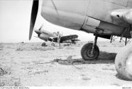 Asisbiz Curtiss P 40E Kittyhawk RAAF 3Sqn CVE at Kairouan Tunisia May 1943 AWM MEC0240
