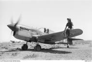 Asisbiz Curtiss P 40F Kittyhawk RAAF 3Sqn CVY FL238 at Kairouan Tunisia 18th Apr 1943 AWM MEC0470