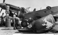 Asisbiz Curtiss P 40N Kittyhawk RAAF 450Sqn OKK Boxing Kangaroo being overhauled Italy 1943 AWM MEC2395