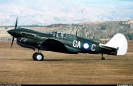 Asisbiz Airworthy Warbird P 40M Kittyhawk as RAAF 75sqn GAC A29 448 Harry Follas 01