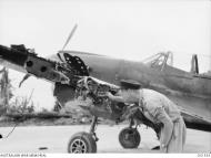 Asisbiz Curtiss P 40N Kittyhawk RAAF 75Sqn GAN FO TR Jacklin examins flak damage A29 521 Noemfoor DNG 9th Aug 1944 AWM OG1533
