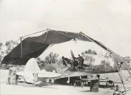 Asisbiz USAAF 43 5665 Curtiss P 40M Kittyhawk RAAF 76Sqn SVI A29 361 at Kiriwina 31st Jan 1944 AWM OG0620