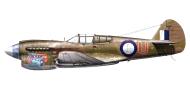Asisbiz Curtiss P 40E Kittyhawk RAAF 77Sqn Dick Cresswell at Livingstone NT Oct 1942 Replic 168