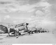 Asisbiz Curtiss P 40N Kittyhawk RAAF 78Sqn line up at Cyclops Hollandia Dutch New Guinea May 1944 AWM OG2765