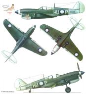 Asisbiz USAAF 42 106377 P 40N Kittyhawk RAAF 78Sqn HUP Sgt DA Smyth A29 572 Noemfoor Island 1944 0A