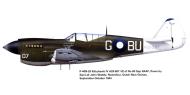Asisbiz Curtiss P 40N Kittyhawk RAAF 80Sqn BUG 07 SqnLdr JL Waddy with A29 607 Noemfoor DNG 21st Oct 1944 0A