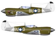 Asisbiz Curtiss P 40N Kittyhawk RAAF 80Sqn BUO Lt Ken Goldring Angry Bee A29 671 Noemfoor Island Nov 1944 0A