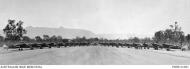 Asisbiz Curtiss P 40N Kittyhawk RAAF 80Sqn line up at Townsville Queensland AWM P00914