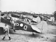 Asisbiz Curtiss P 40M Kittyhawk RAAF 86Sqn MPQ with MPU and MPN Merauka PNG Jan 1944 01