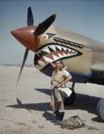 Asisbiz Aircrew RAF 122Sqn Flight Lieutenant AR Costello at Sidi Heneish Egypt April 1942 IWM COL196