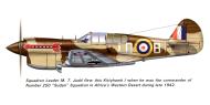 Asisbiz Curtiss P 40E Kittyhawk I RAF 250Sqn LDB AK919 Sqn Ldr MT Judd CO at LG91 Egypt 1942 0A