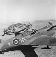 Asisbiz Curtiss Kittyhawk III RAF 260Sqn HSX HSB HSV lined up at Marble Arch Libya IWM MERAF7299