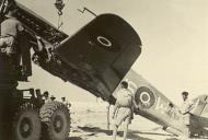 Asisbiz Curtiss P 40E Kittyhawk RAF 260Sqn HSW AL134 force landed after combat Egypt 14th Aug 1942 AWM 024842