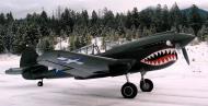 Asisbiz RCAF preserved Curtiss P 40E Kittyhawk AK752 Curtissaurus Rex Stonehenge Air Museum 01