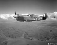 Asisbiz USAAF 41 36385 Curtiss P 40E Kittyhawk RNZAF 15Sqn JZA NZ3039 over Waitemata Harbour Auckland 01