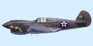 Asisbiz PTO Curtiss P 40E Warhawk 24PG17PS White 14 Joseph Kruzel Blimbing Java 1942 0A