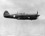 Asisbiz USAAF 41 13601 Curtiss P 40F Warhawk profile photo showing side markings 01