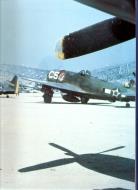 Asisbiz 44 19660 P 47D Thunderbolt 350FG1FS C5 01