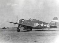 Asisbiz 42 75549 P 47D Thunderbolt 8AF 361FG376FS E9G Devil May Care Lt Morris C Williams FRE13322