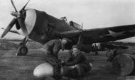 Asisbiz P 47 Thunderbolt 8AF 4FG ground crew prepare to fit a drop tank to a P 47 FRE2263