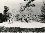 Asisbiz 42 7866 P 47D Thunderbolt 56FG62FS LMG named The Greek crashed due to faulty prop control 5th Sep 1943 FRE12121