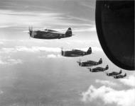 Asisbiz 42 7870 P 47B Thunderbolt 56FG62FS Wolfpack LMR 1943 02