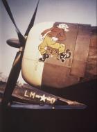 Asisbiz 42 7870 P 47D Thunderbolt 56FG62FS LMR Pappy Maj Horace C Craig FRE5589
