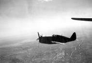 Asisbiz P 47 Thunderbolt 56FG in flight 01