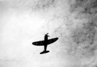 Asisbiz P 47 Thunderbolt 56FG in flight 1944 01