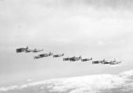 Asisbiz P 47 Thunderbolt 56FG61FS in formation 02
