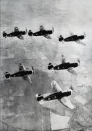 Asisbiz P 47 Thunderbolts 56FG62FS LMC LMG LMX LMR LMO and LMP in formation 1943 FRE12068