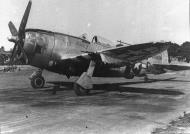 Asisbiz USAAF 42 26628 P 47D Thunderbolt 8AF 56FG62FS LMC 01