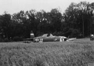 Asisbiz 42 22543 P 47D Thunderbolt 8AF 495FTG551FTS VML Charles E Parmelee belly landed near Atcham 16th Jun 1944 FRE3243