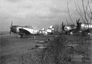 Asisbiz 42 26010 P 47D Thunderbolt 9AF 36FG22FS 3TL Sandy 01