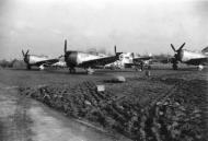 Asisbiz 42 26010 P 47D Thunderbolt 9AF 36FG22FS 3TL Sandy 02