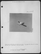 Asisbiz Gun camera footage by 8AF fighters shooting down a Bf 109 over Germany 31st Mar 1944 NA864