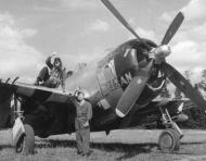 Asisbiz USAAF Republic P 47D Thunderbolt 9AF 50FG313FS Sexy Texan 1944 NARA804