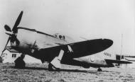 Asisbiz 44 20676 P 47D Thunderbolt French AF GCIII.6 (Roussillion) ltr shot down by flak near Pauillac 15th Apr 1945 FRE9121