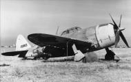 Asisbiz 41 5983 P 47B Thunderbolt at the aircraft boneyard in Kinmag Arizona FRE9521