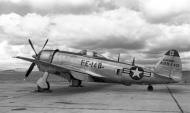 Asisbiz 44 89140 Republic P 47N Thunderbolt 332FG ANG with code FE140 at Lockbourne AFB Ohio 1948 01