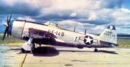 Asisbiz 44 89140 Republic P 47N Thunderbolt 332FG ANG with code FE140 at Lockbourne AFB Ohio 1948 USAF