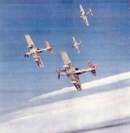 Asisbiz 15AF P 51D Mustangs groups 31FG309FS flying in formation over Italy 1944 03