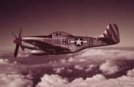Asisbiz 44 15459 P 51D Mustang 31FG308FS American Beauty Capt John J Voll credited with 21 confirmed aerial victories FRE7554