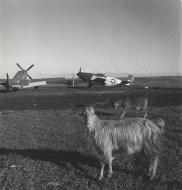 Asisbiz P 51B Mustang 15AF 332FG Ramitelli Italy Mar 1945 01