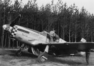 Asisbiz 42 106579 P 51B Mustang 339FG503FS D7O Sally England 1944 01