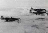 Asisbiz 44 14065 P 51D Mustang 339FG503FS D7R Sally II in formation with D7F and D7Z FRE13412